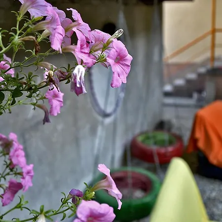 Backpackers Хостел *